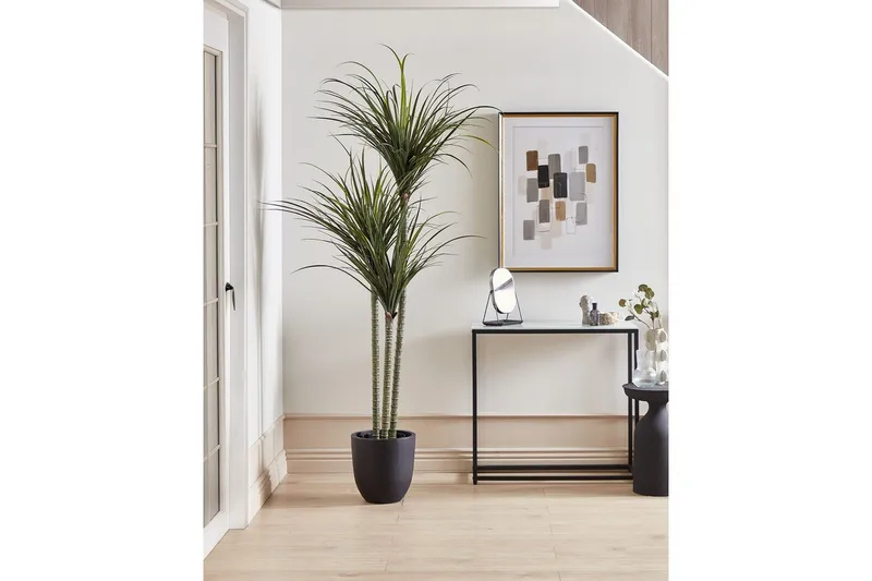 Konstgjord växt Beliani Dracaena Anita Green||Black - Innredning - Kunstige planter