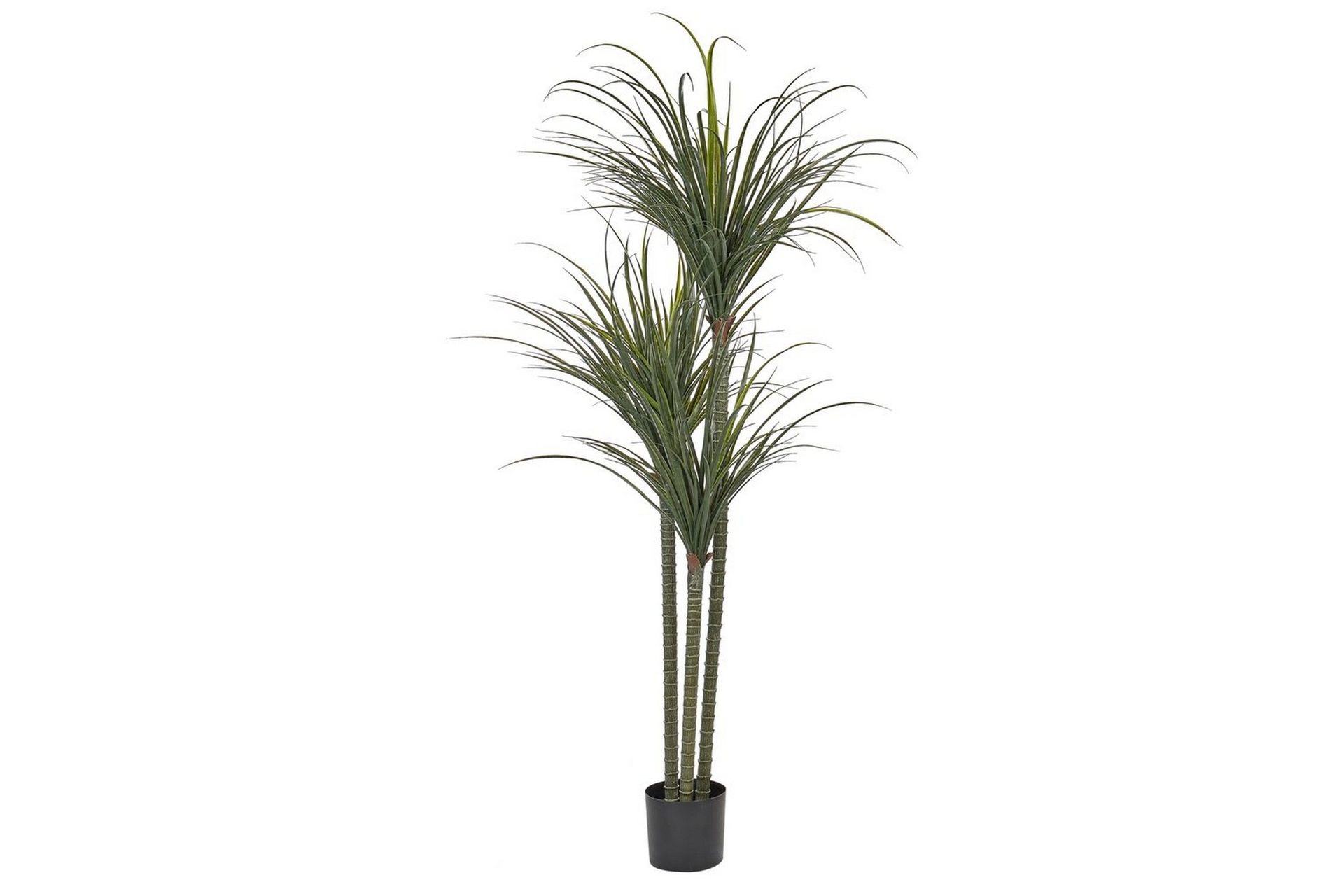 Konstgjord växt Beliani Dracaena Anita Green\|\|Black -