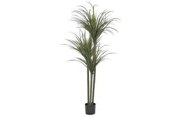 Konstgjord växt Beliani Dracaena Anita Green||Black - Innredning - Kunstige planter