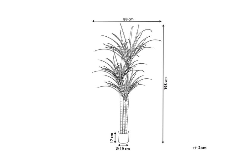 Konstgjord växt Beliani Dracaena Anita Green||Black - Innredning - Kunstige planter