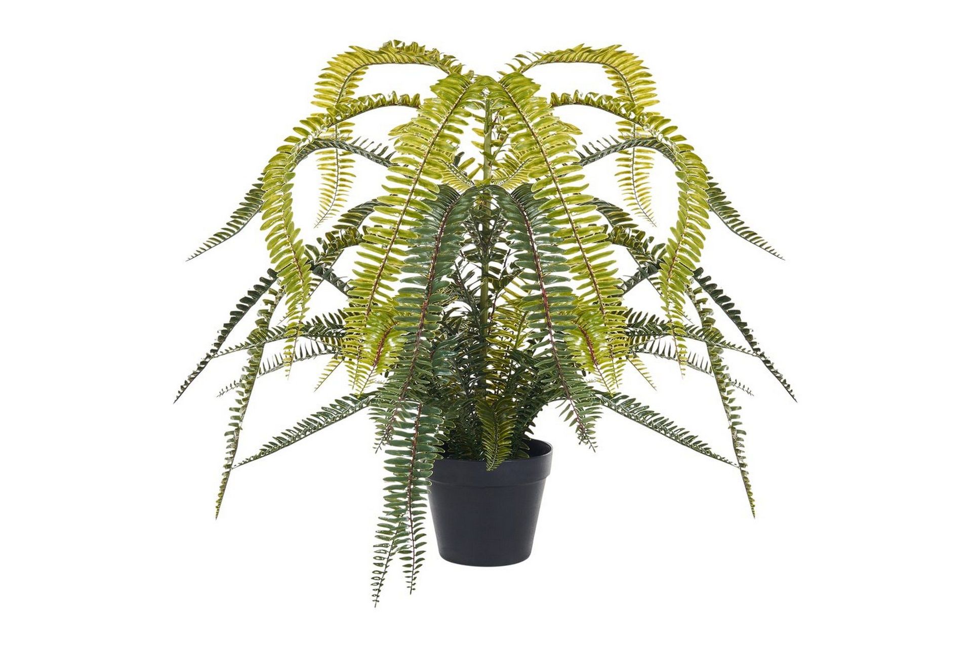 Konstgjord växt Beliani Fern Leaf Plant Green\|\|Black -
