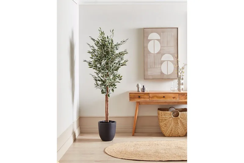 Konstgjord växt Beliani Ficus Green||Black - Innredning - Kunstige planter