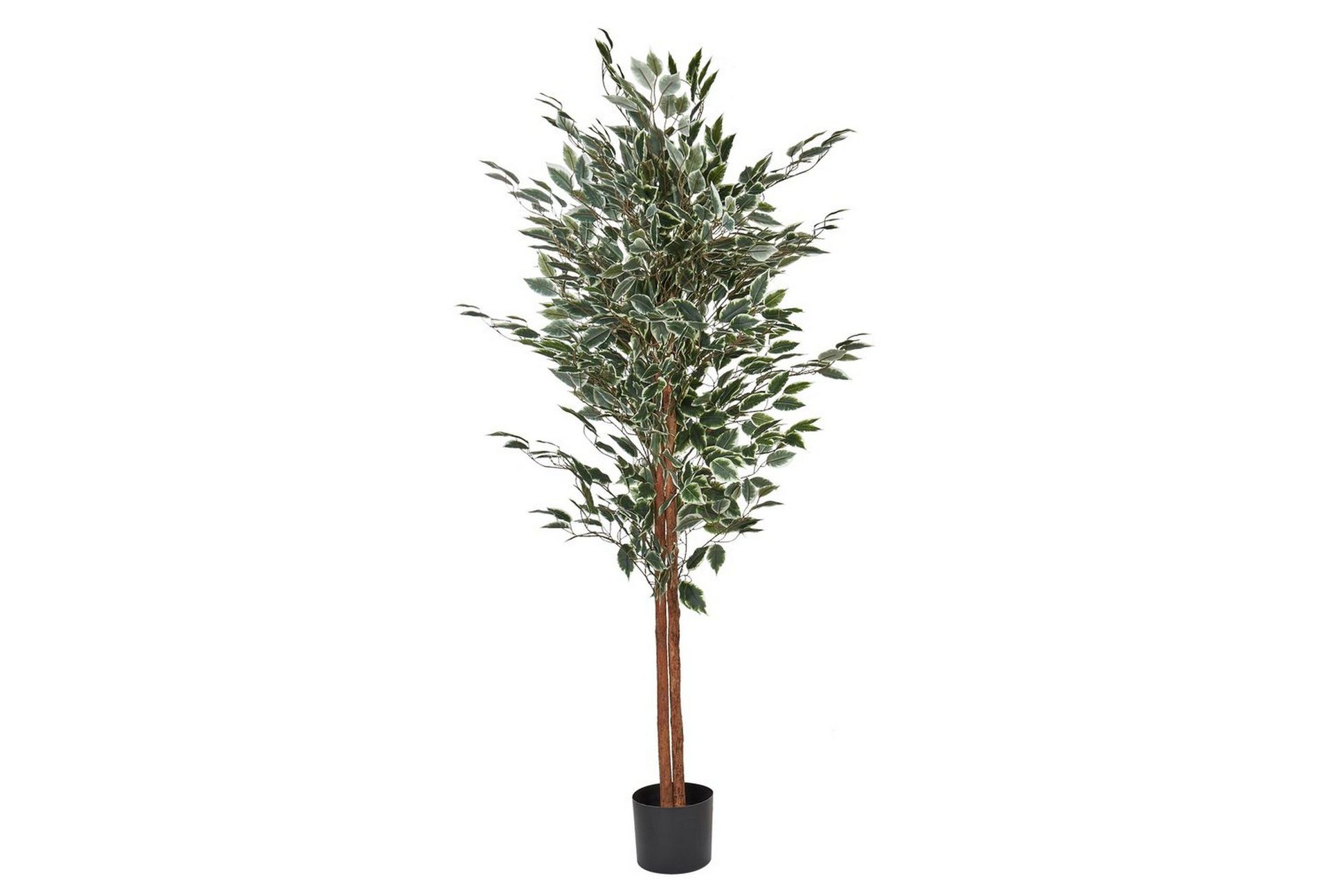 Konstgjord växt Beliani Ficus Green\|\|Black -