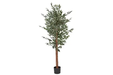 Konstgjord växt Beliani Ficus Green||Black - Innredning - Kunstige planter