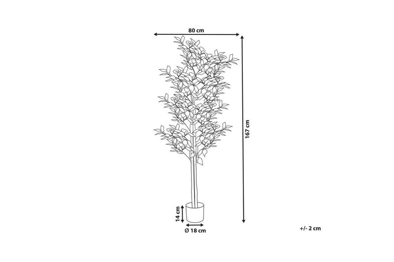 Konstgjord växt Beliani Ficus Green||Black - Innredning - Kunstige planter