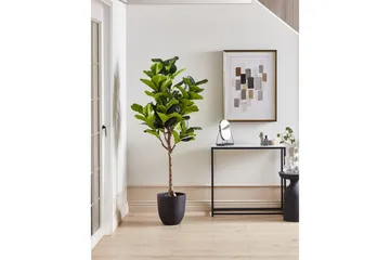 Konstgjord växt Beliani Fig Tree Green||Black - Innredning - Kunstige planter