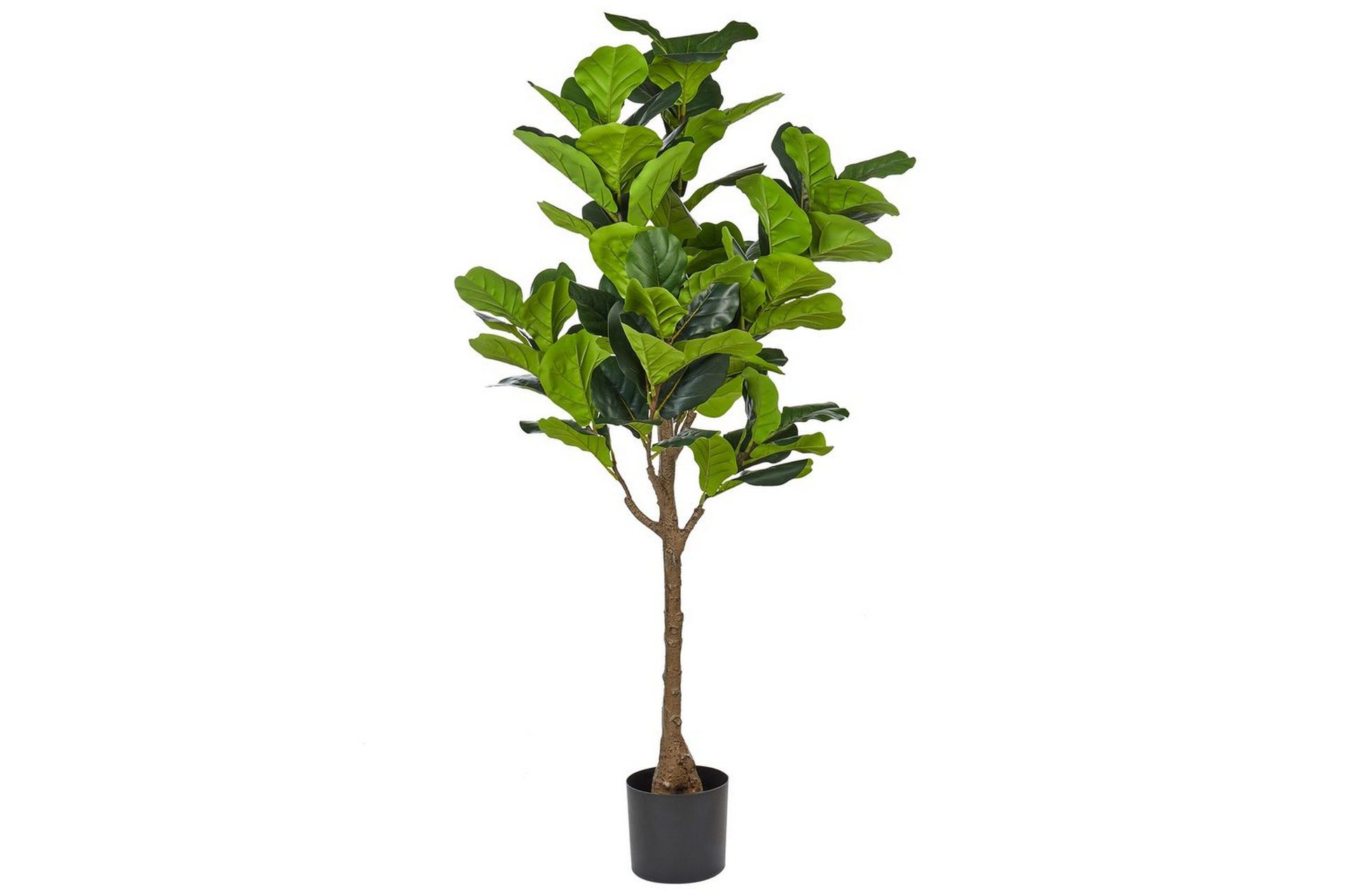 Konstgjord växt Beliani Fig Tree Green\|\|Black -