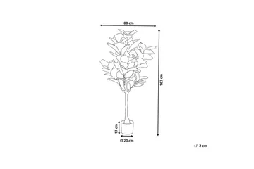 Konstgjord växt Beliani Fig Tree Green||Black - Innredning - Kunstige planter