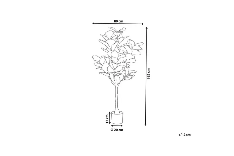 Konstgjord växt Beliani Fig Tree Green||Black - Innredning - Kunstige planter