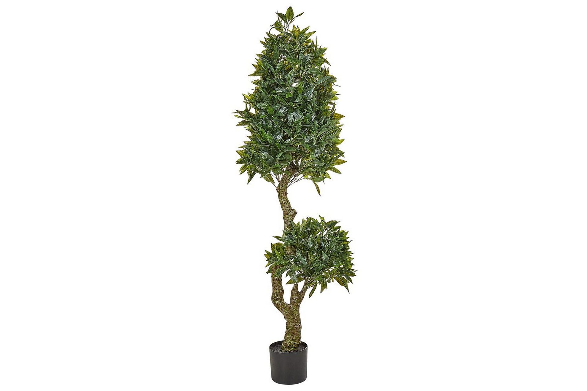 Konstgjord växt Beliani Laurele Green, Black -