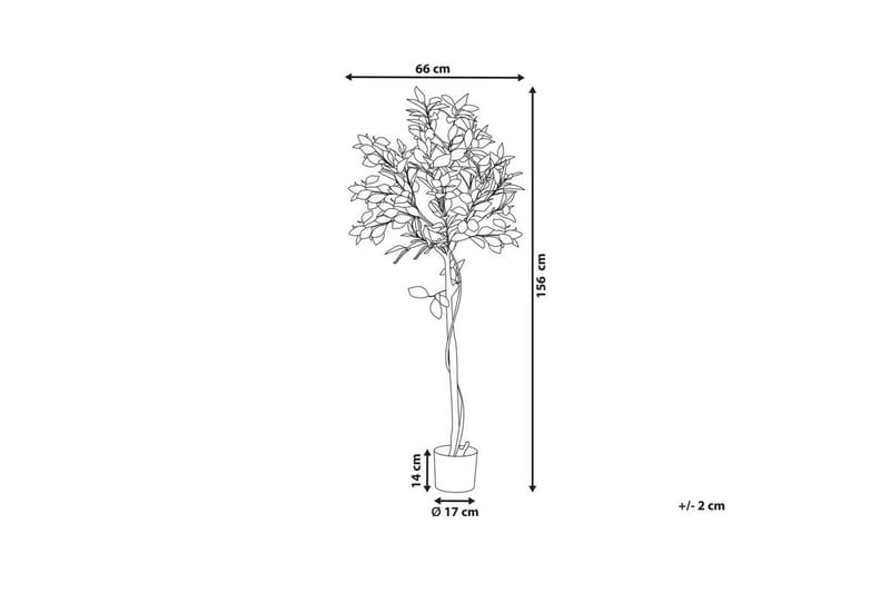 Konstgjord växt Beliani Lemon Tree 66x66x156 cm Green||Black - Innredning - Kunstige planter