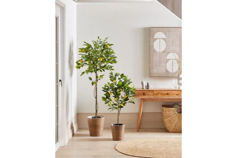 Konstgjord växt Beliani Lemon Tree 66x66x156 cm Green||Black - Innredning - Kunstige planter