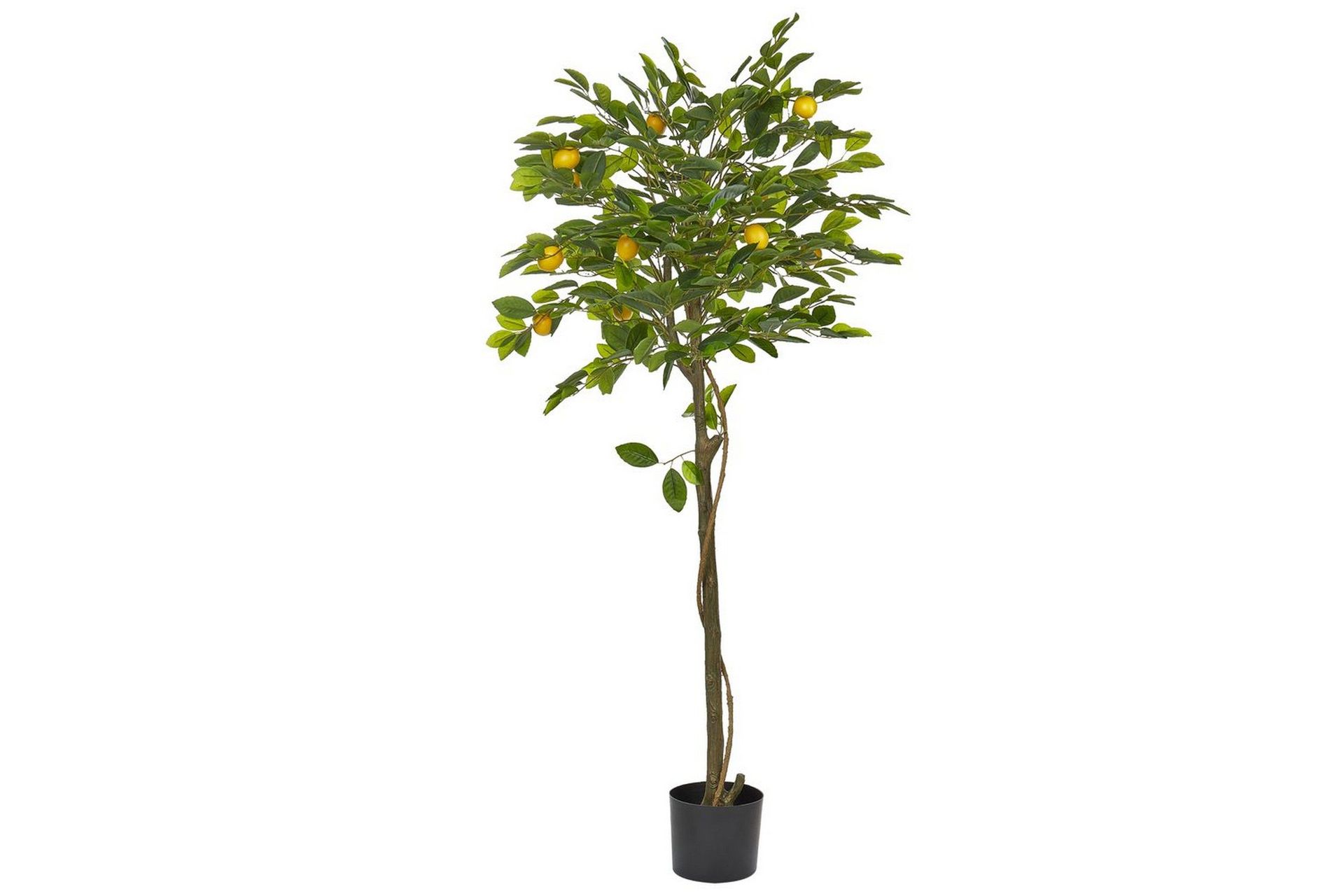 Konstgjord växt Beliani Lemon Tree 66x66x156 cm Green\|\|Black -