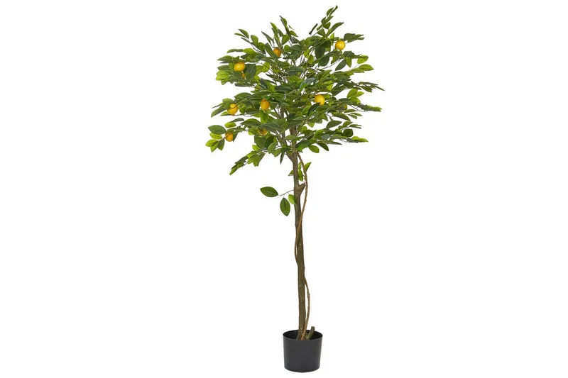 Konstgjord växt Beliani Lemon Tree 66x66x156 cm Green||Black, undefined