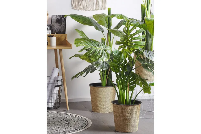 Konstgjord växt Beliani Monstera Plant 12x12x113 cm Green||Black - Innredning - Kunstige planter