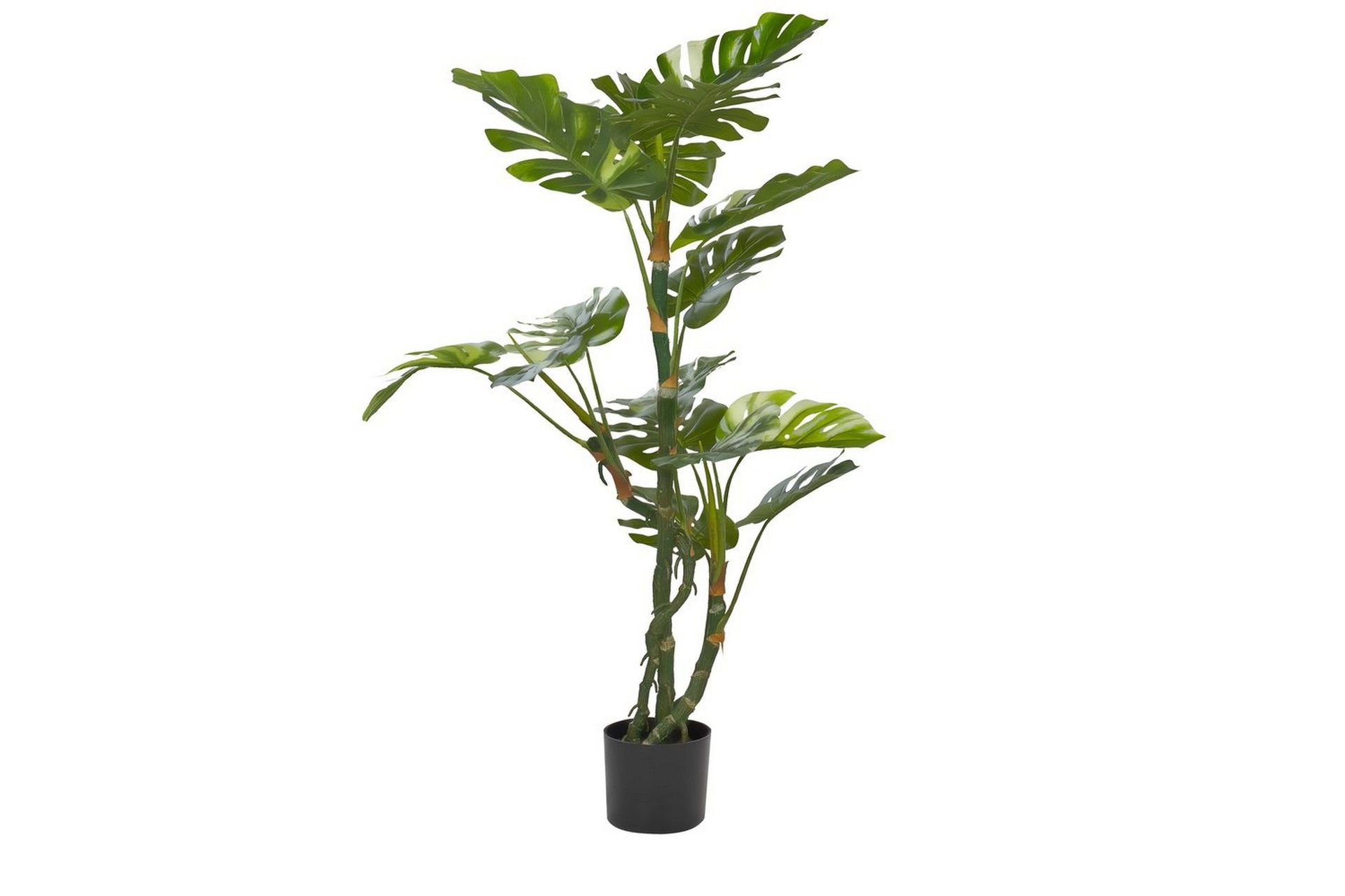 Konstgjord växt Beliani Monstera Plant 75x75x135 cm Green\|\|Black -