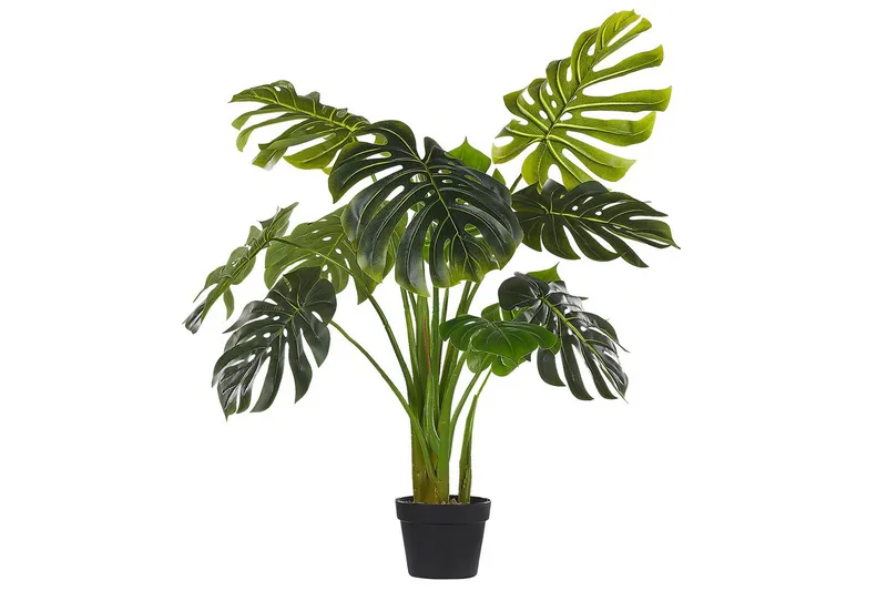 Konstgjord växt Beliani Monstera Plant 12x12x113 cm Green||Black
