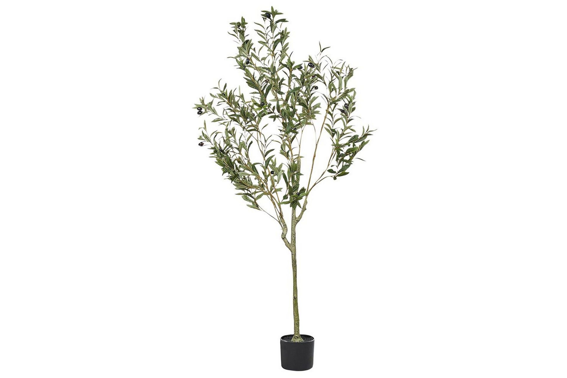 Konstgjord växt Beliani Olive Tree 63x63x153 cm Green\|\|Black -