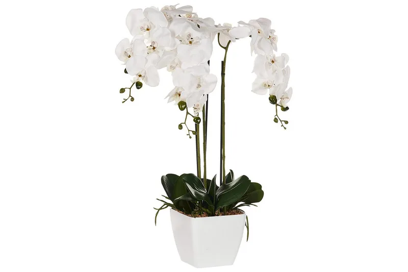 Konstgjord växt Beliani Orchid 22x22x59 cm Green||White - Innredning - Kunstige planter