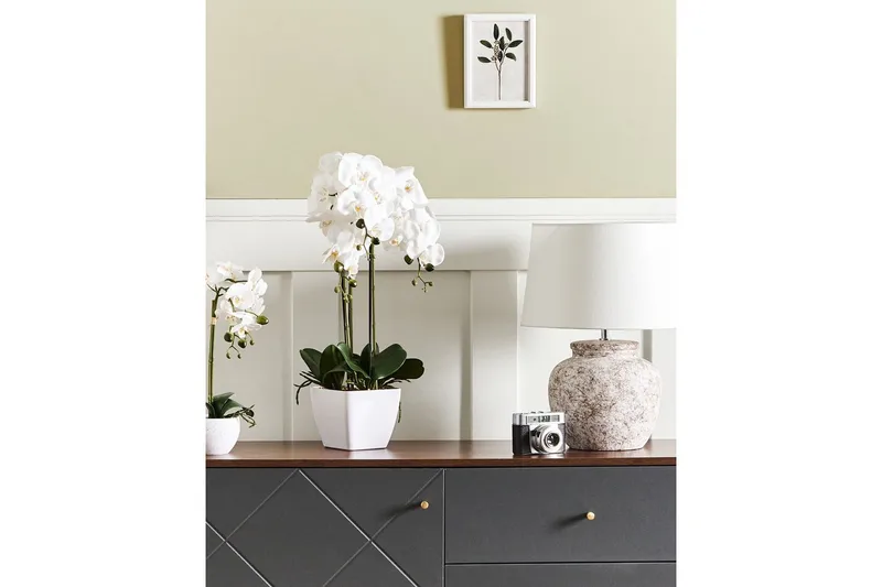 Konstgjord växt Beliani Orchid 22x22x59 cm Green||White - Innredning - Kunstige planter