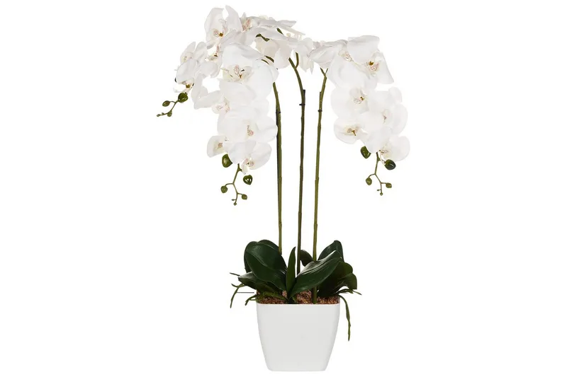 Konstgjord växt Beliani Orchid 22x22x59 cm Green||White, undefined