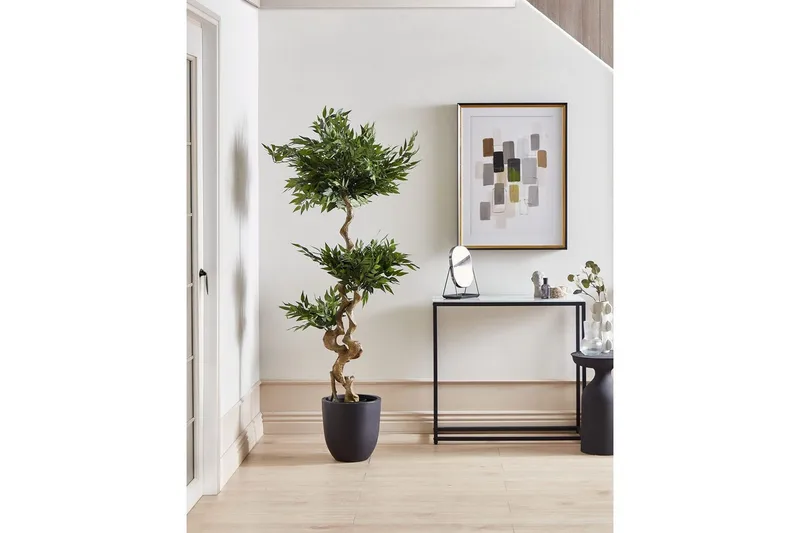 Konstgjord växt Beliani Ruscus Tree Green||Black - Innredning - Kunstige planter