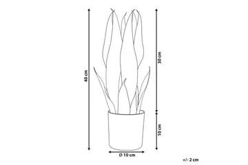 Konstgjord växt Beliani Snake Plant 10x10x40 cm Green||Black - Innredning - Kunstige planter