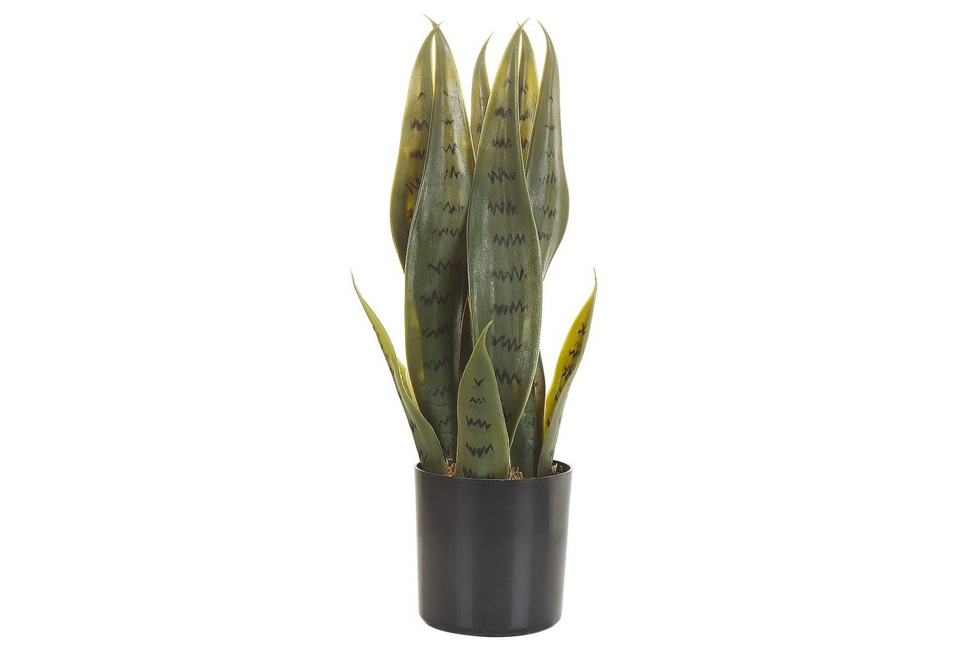 Konstgjord växt Beliani Snake Plant 10x10x40 cm Green\|\|Black -