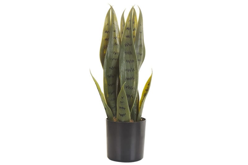 Konstgjord växt Beliani Snake Plant 10x10x40 cm Green||Black