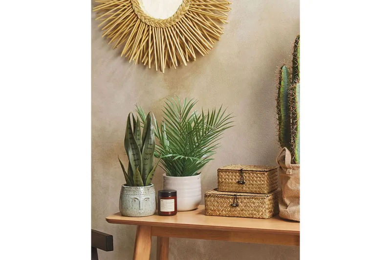 Konstgjord växt Beliani Snake Plant 10x10x40 cm Green||Black - Innredning - Kunstige planter