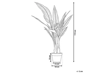 Konstgjord växt Beliani Strelitzia Tree Green||Black||Orange - Innredning - Kunstige planter