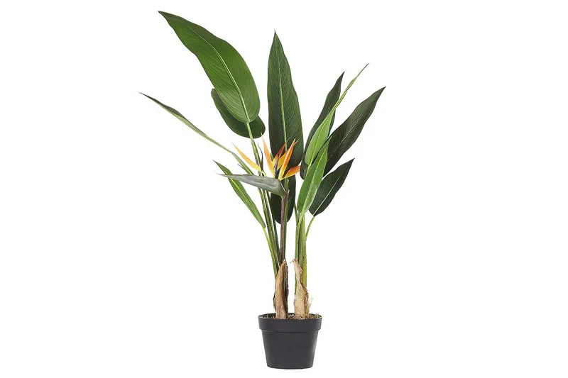 Konstgjord växt Beliani Strelitzia Tree Green||Black||Orange