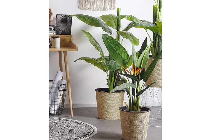 Konstgjord växt Beliani Strelitzia Tree Green||Black||Orange - Innredning - Kunstige planter