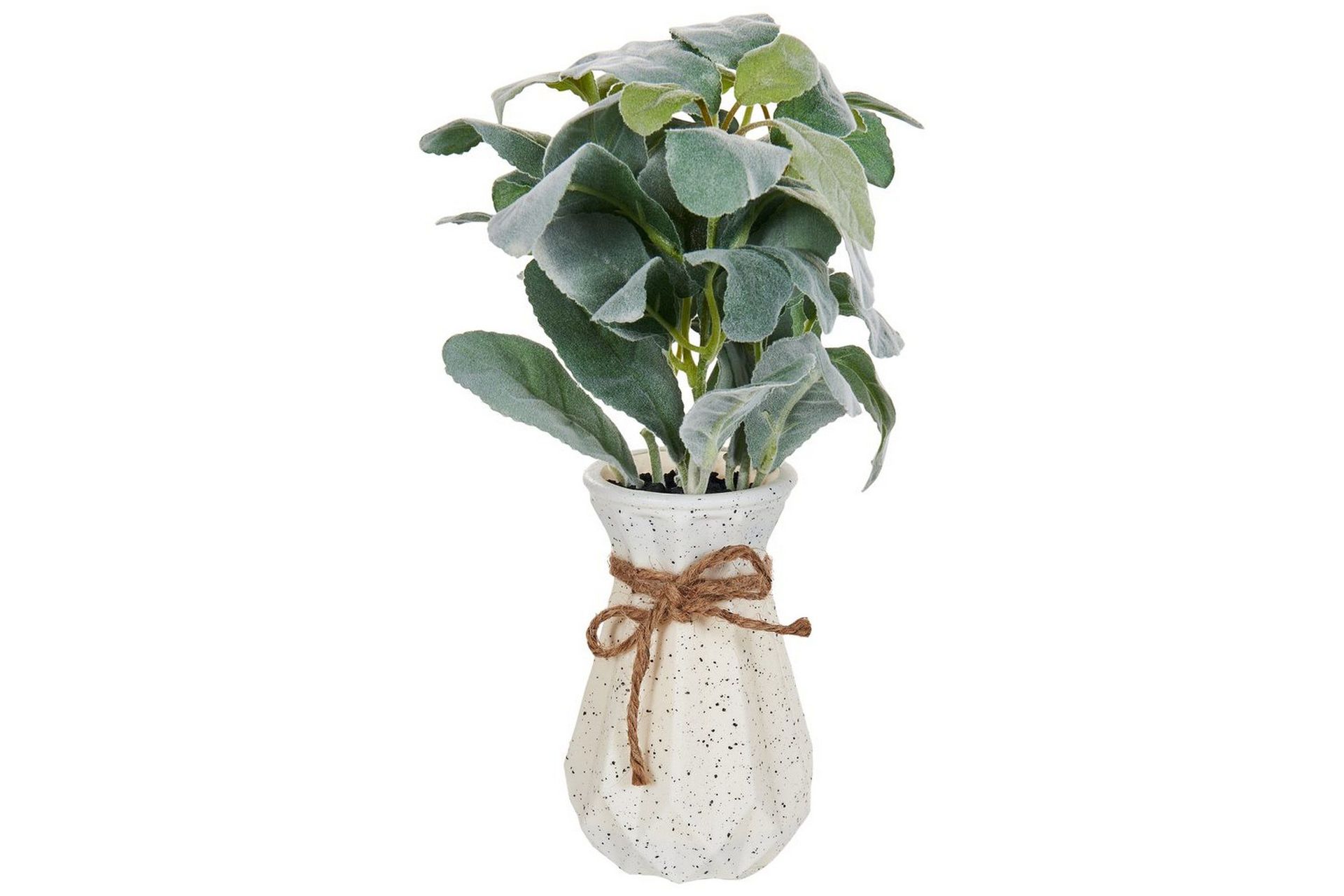 Konstgjord växt Beliani Peperomia Argyreia Green\|\|Black -