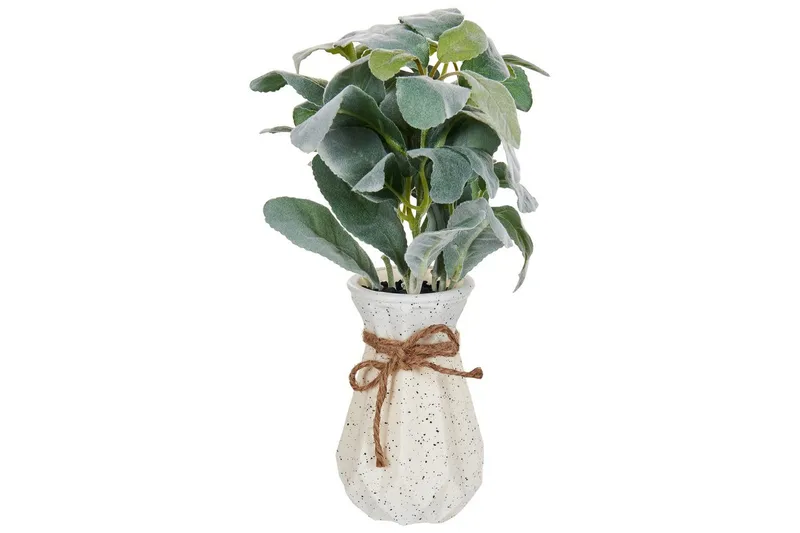 Konstgjord växt Beliani Peperomia Argyreia Green||Black, undefined