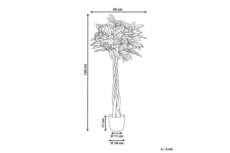 Konstgjord växt Beliani Pachira Tree Green||Black - Innredning - Kunstige planter