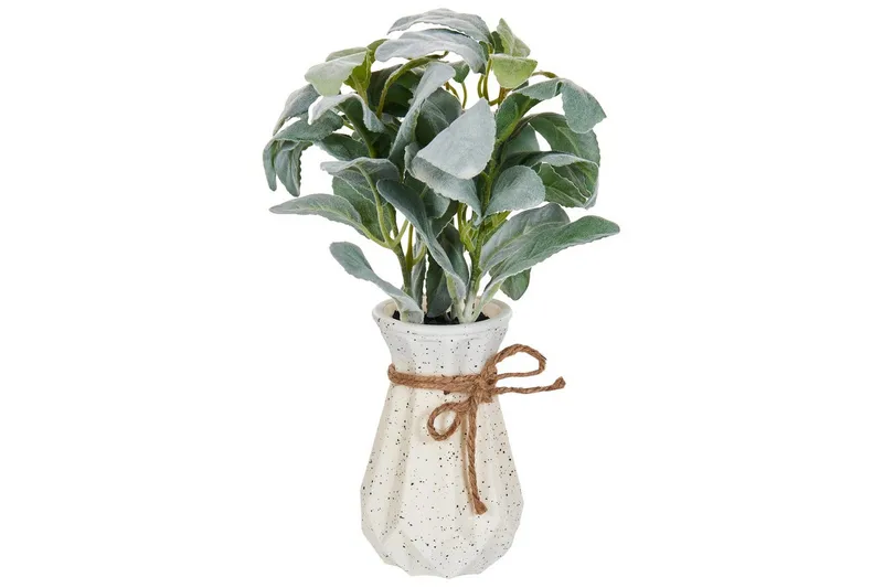 Konstgjord växt Beliani Peperomia Argyreia Green||Black - Innredning - Kunstige planter