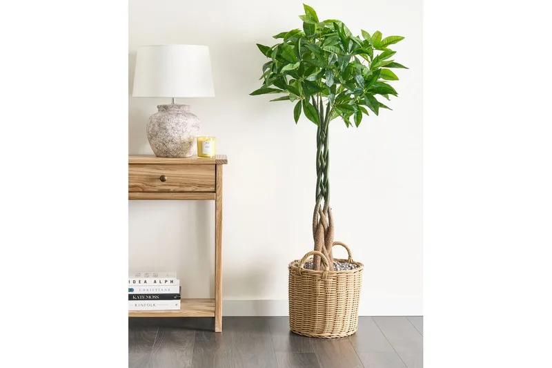 Konstgjord växt Beliani Pachira Tree Green||Black - Innredning - Kunstige planter