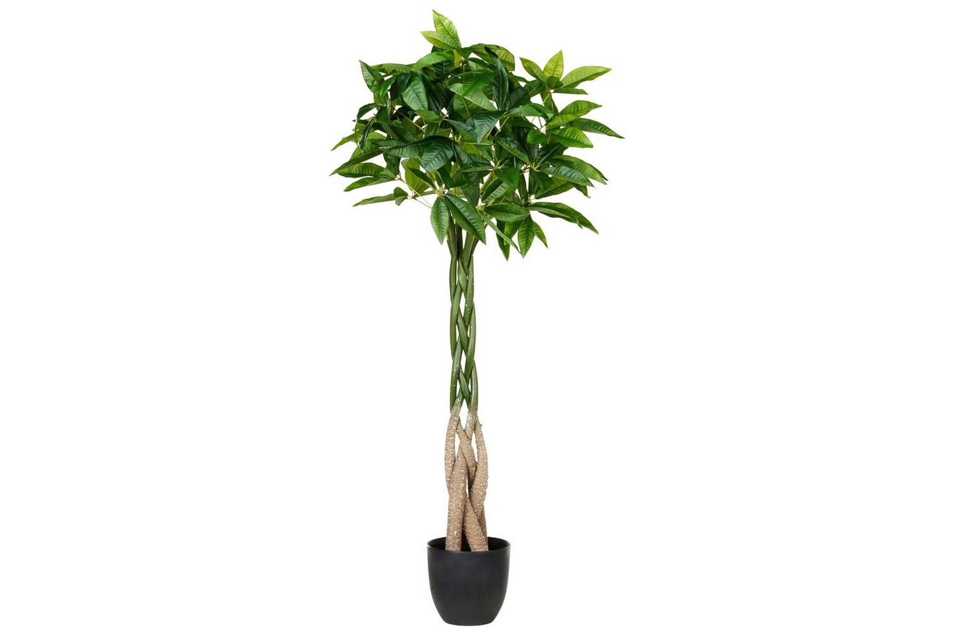 Konstgjord växt Beliani Pachira Tree Green\|\|Black -