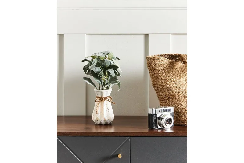 Konstgjord växt Beliani Peperomia Argyreia Green||Black - Innredning - Kunstige planter