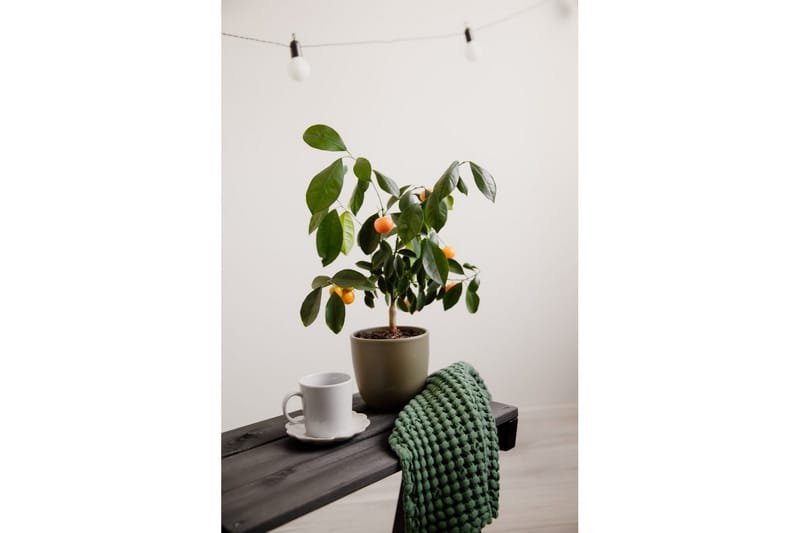 Bord EcoFurn Granny Furu Oljet Svart - Svart - Hagemøbler - Balkong - Balkongmøbler - Balkongbord