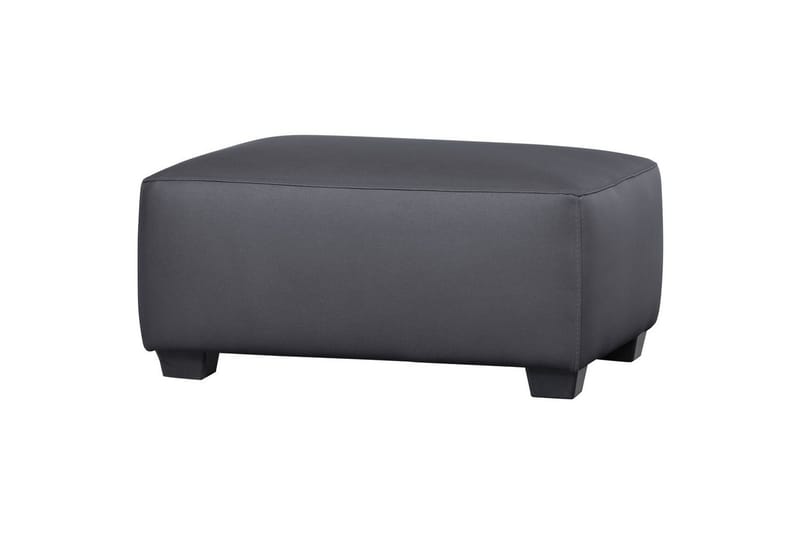 Hagekrakk Hollandia, Grå