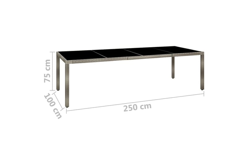 Hagebord 250x100x75 cm herdet glass og polyrotting grå - Grå - Hagemøbler - Hagebord - Spisebord ute