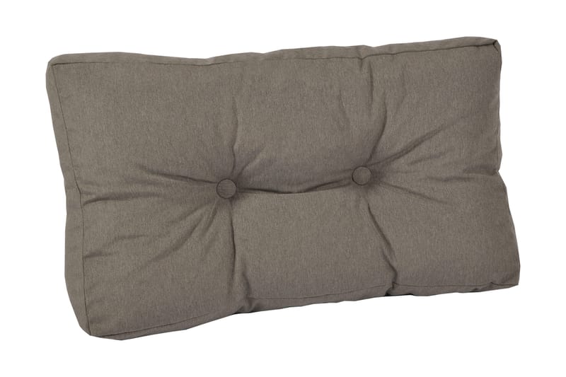 Ada Ryggpute Mocka, Fritab