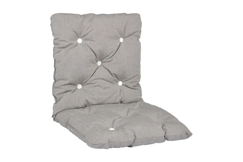 Askgrå Minivikflokk, Grå