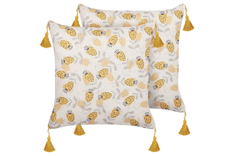 Pynteputer Abutilon sett på 2, undefined