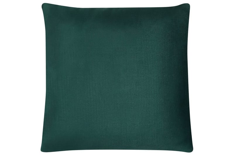 Pynteputer Ceropegia sett med 2 Grønn - Grønn - Tekstiler - Pute & pledd - Hagepute