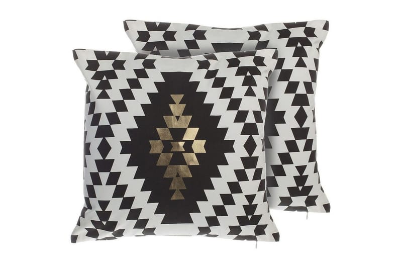 Pynteputer Coleus sett med 2, undefined