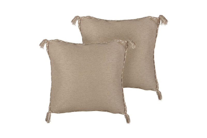 Pynteputer Erigeron sett med 2, undefined