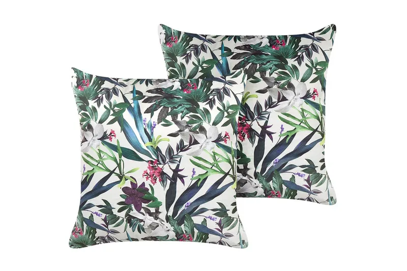 Pynteputer Gasteria sett av 2, undefined